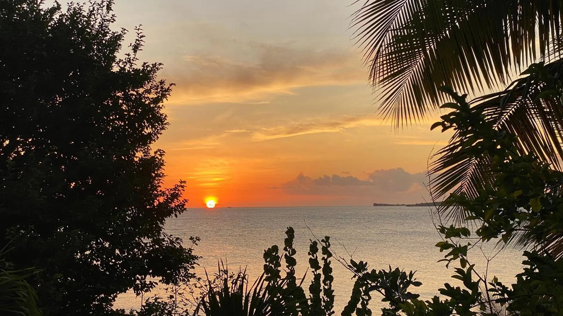 Green Flash Apartments Lance aux Épines