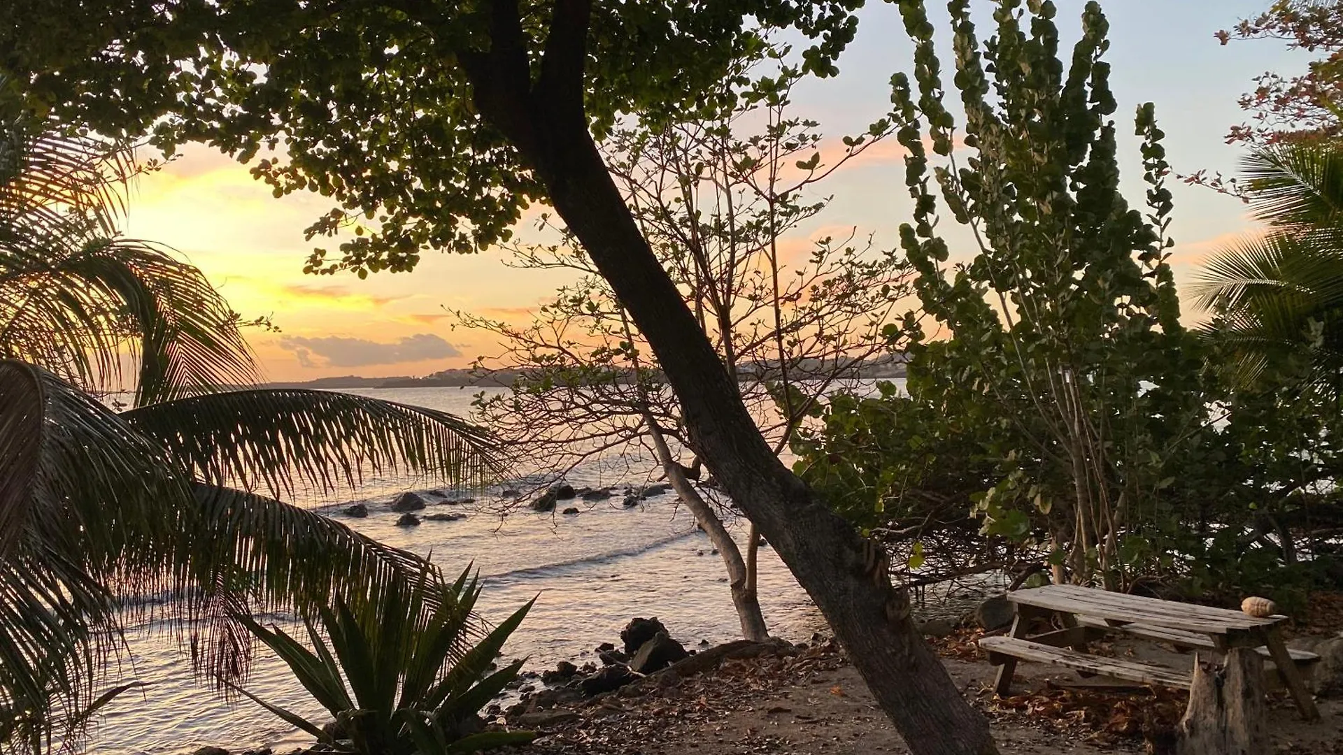 Green Flash Apartments Lance aux Épines